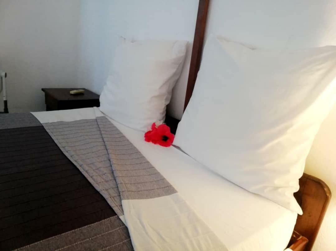 Hotel Jardin De La Paix Μορόνι Εξωτερικό φωτογραφία